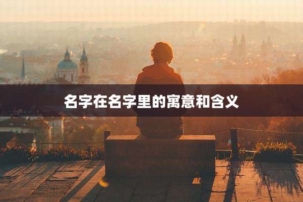 名字在名字里的寓意和含义