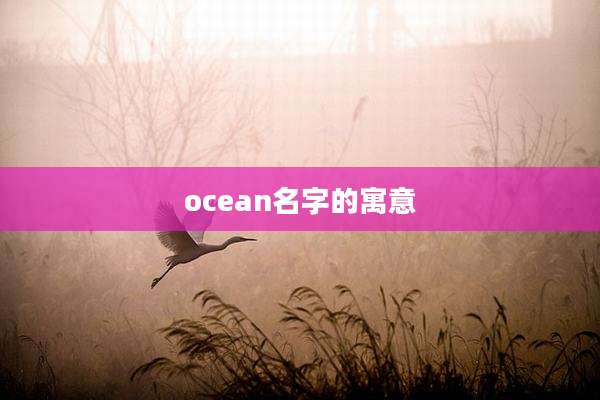 ocean名字的寓意