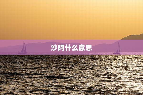 沙阿什么意思