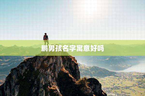 鹏男孩名字寓意好吗