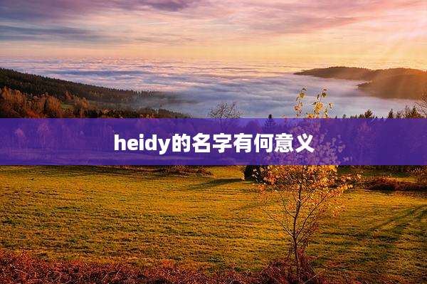 heidy的名字有何意义