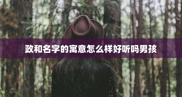 政和名字的寓意怎么样好听吗男孩