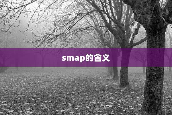 smap的含义