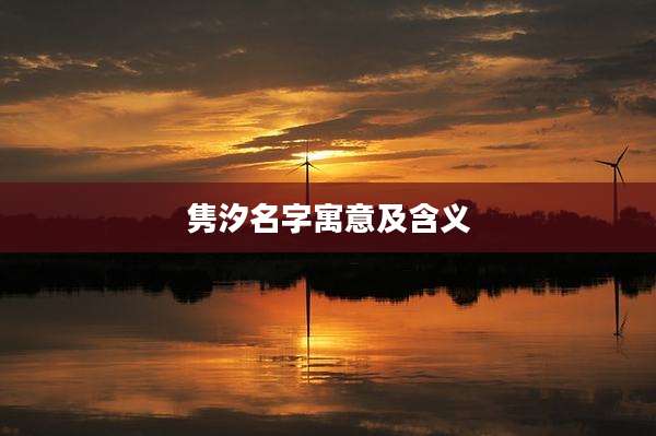 隽汐名字寓意及含义