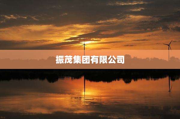 振茂集团有限公司