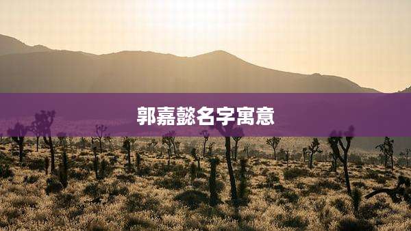 郭嘉懿名字寓意