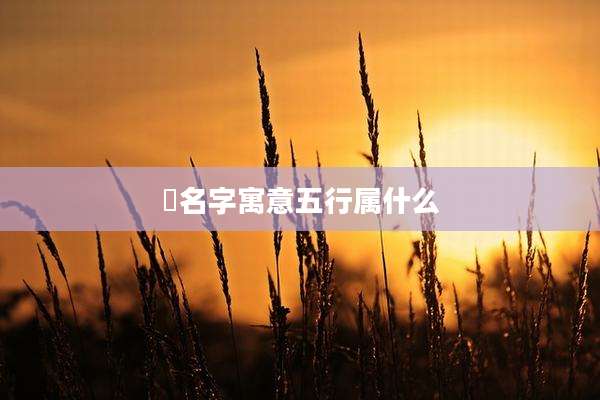 珪名字寓意五行属什么