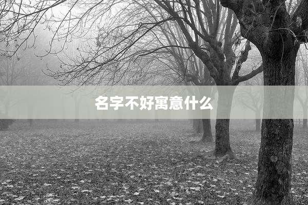 名字不好寓意什么