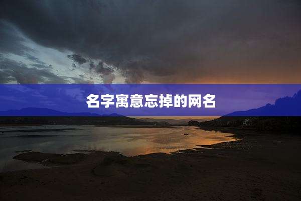 名字寓意忘掉的网名