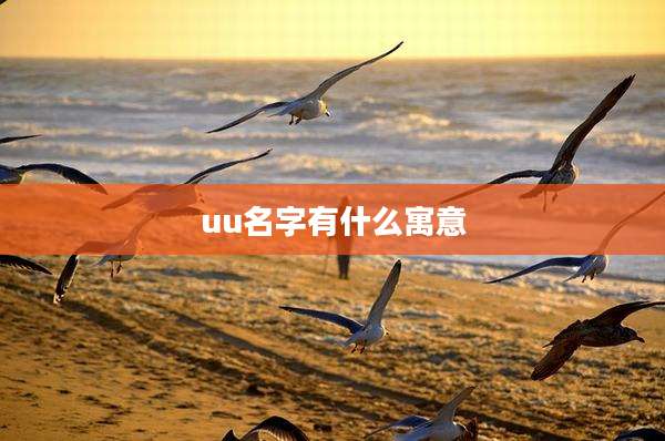 uu名字有什么寓意