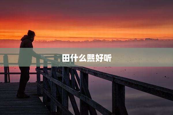 田什么熙好听