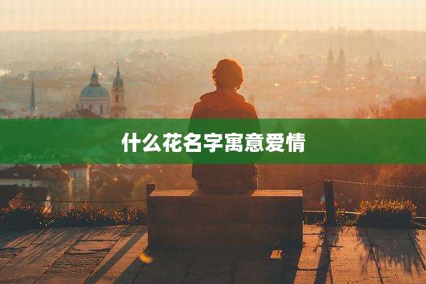 什么花名字寓意爱情