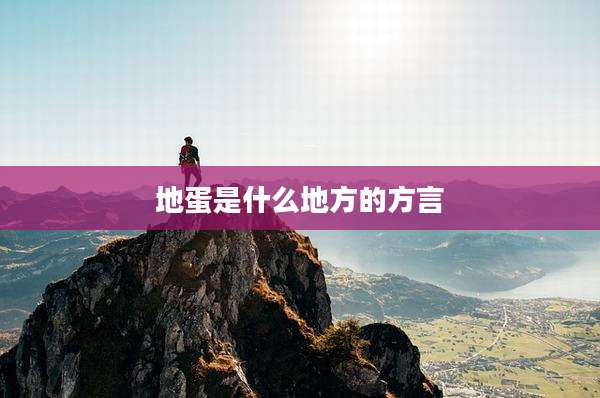 地蛋是什么地方的方言