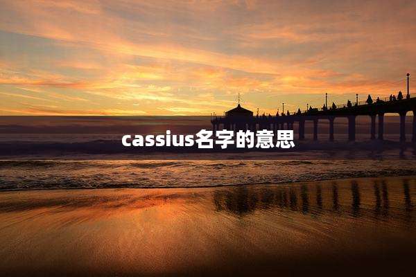 cassius名字的意思