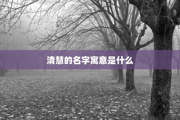 清慧的名字寓意是什么