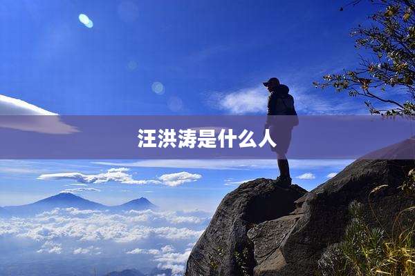 汪洪涛是什么人