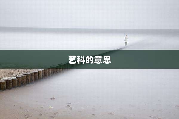 艺科的意思