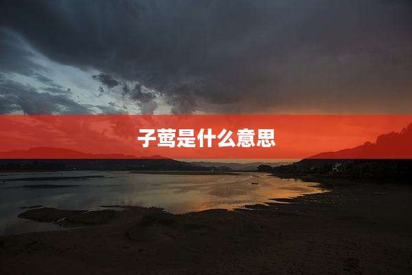 子莺是什么意思