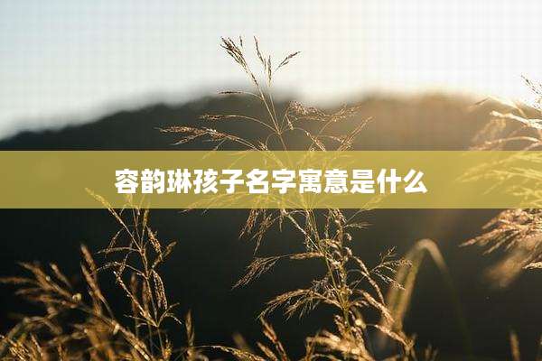 容韵琳孩子名字寓意是什么