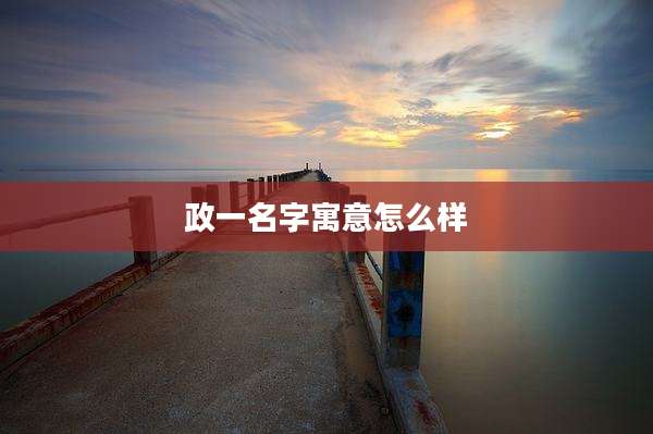 政一名字寓意怎么样