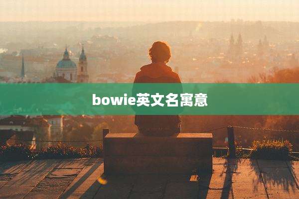 bowie英文名寓意