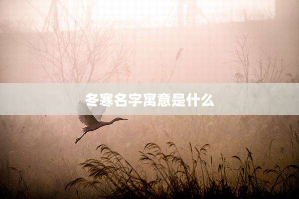 冬寒名字寓意是什么