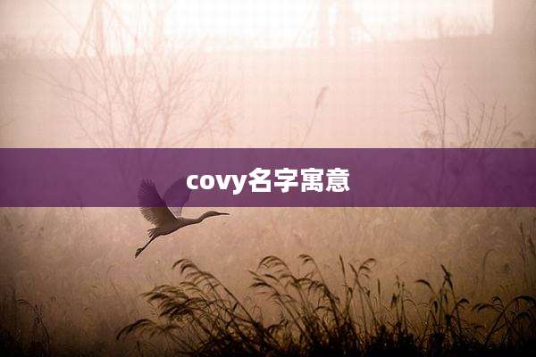 covy名字寓意