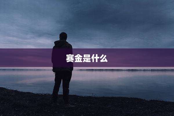 赛金是什么