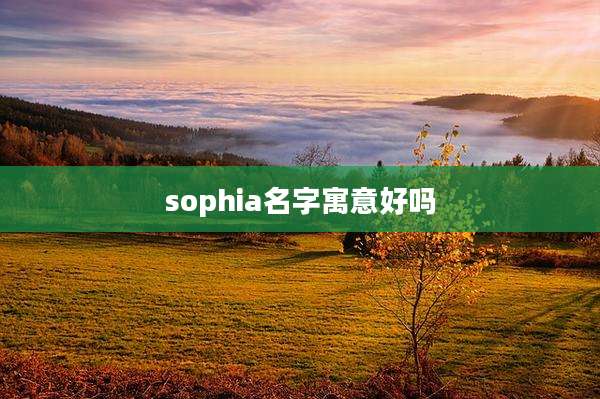sophia名字寓意好吗