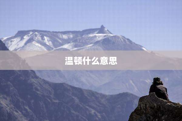 温顿什么意思
