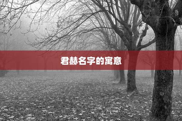 君赫名字的寓意