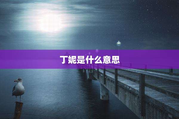 丁妮是什么意思