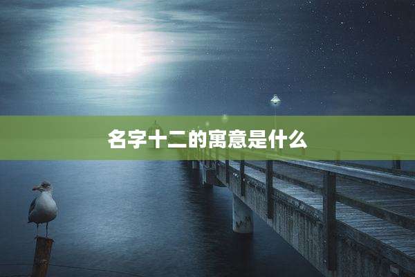 名字十二的寓意是什么