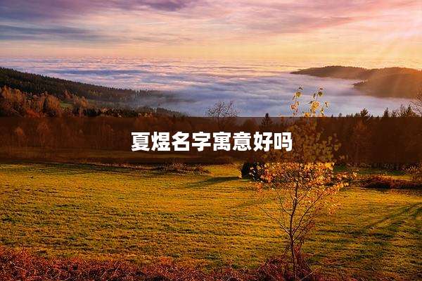 夏煜名字寓意好吗