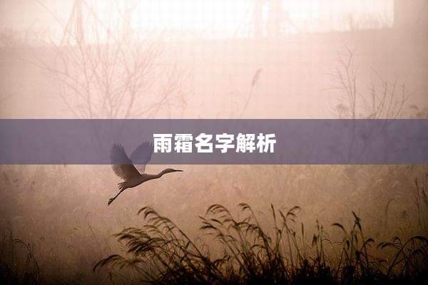 雨霜名字解析