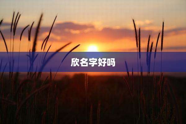 欣名字好吗