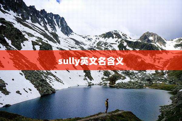 sully英文名含义