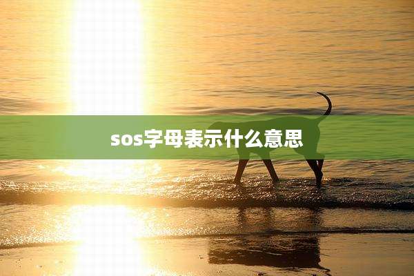 sos字母表示什么意思
