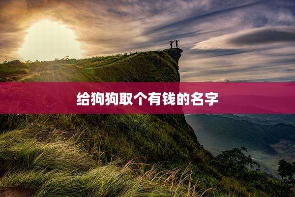 给狗狗取个有钱的名字