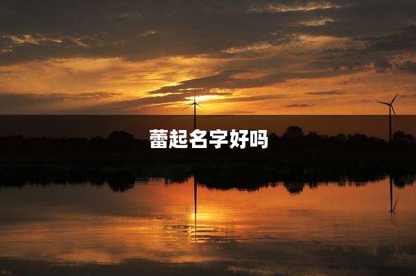 蕾起名字好吗
