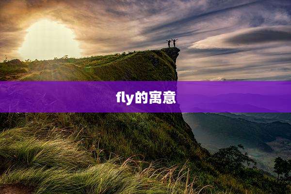 fly的寓意