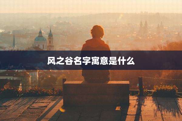 风之谷名字寓意是什么