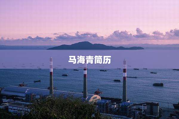 马海青简历