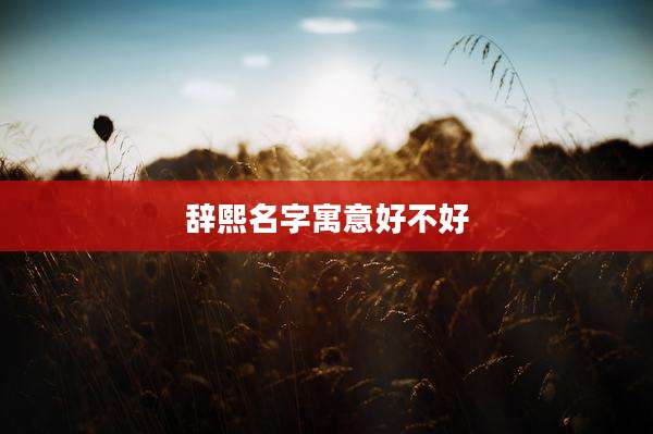 辞熙名字寓意好不好