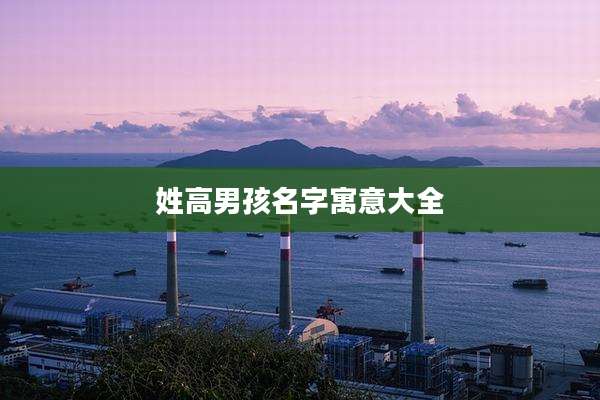 姓高男孩名字寓意大全