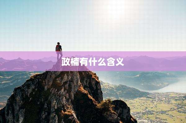 政楠有什么含义