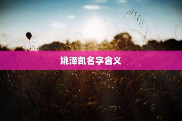 姚泽凯名字含义