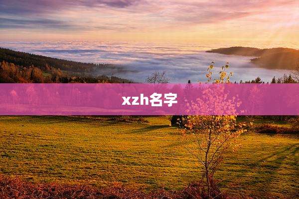 xzh名字