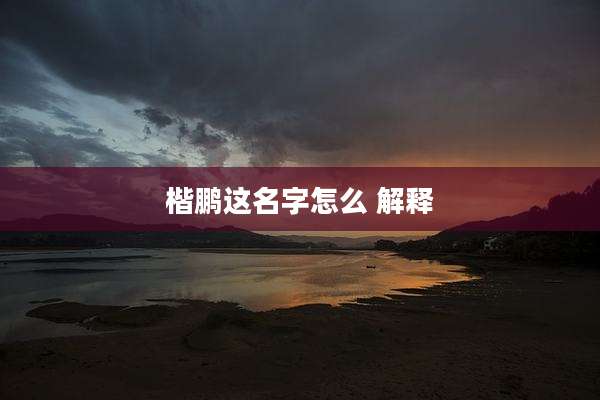 楷鹏这名字怎么 解释