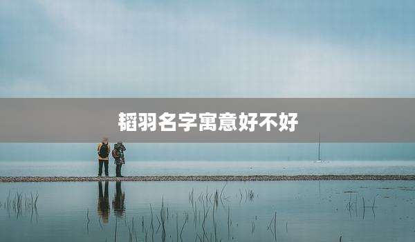 韬羽名字寓意好不好